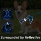 Escape Proof Pets Vest Harness and Leash Set
