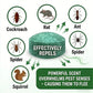 🏠 BUY 2 GET 1 FREE! 🛡️ All‑Pest Repellent – Safe for pets & wildlife – No poisons, just effective – use indoors & out for peace of mind 🐾✅