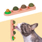 Catnip Ball Safe Healthy Kitten Chew Toys