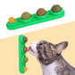 Catnip Ball Safe Healthy Kitten Chew Toys