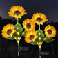 📢📢49% OFF !! ⏰ Sunflower Solar Lights – Auto On/Off, 14H Glow, IP65 Waterproof ☀️