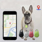 Pet Tracker