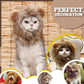 Funny Pet Wig