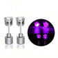 Stylish LED Luminous Crown Earrings