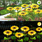 📢📢49% OFF !! ⏰ Sunflower Solar Lights – Auto On/Off, 14H Glow, IP65 Waterproof ☀️