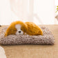 Adorable Animal Ornaments for Cars