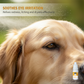 🐕🔥Gentle Pet Eye Drops