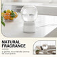 🔥2026 New Arrivals: 50% Off for a Limited Time!🔥Top-Selling Formaldehyde-Removing Home Fragrance Care Products in 2026