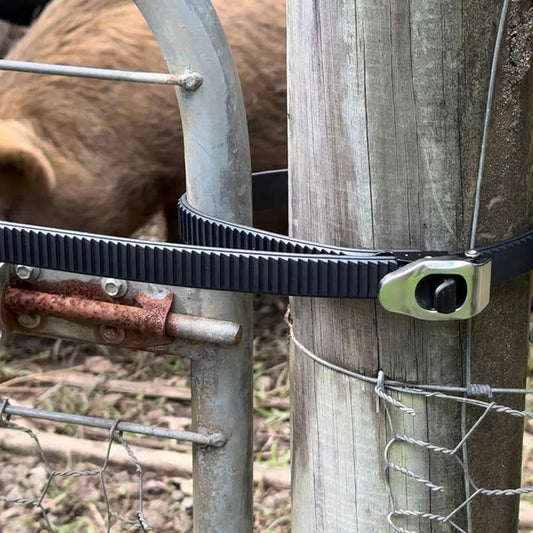 💪Last Day Special Offer-50% OFF🔥Ultimate Secure Locking Fastening Strap