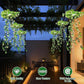 ☀️ 50% OFF 🌿 Solar Ivy Lights with Artificial Leaves – Waterproof LED Garland with 8 Lighting Modes ✨