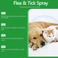 💐50% OFF ! Natural Flea & Tick Spray for Dogs & Cats – Protects Without Harsh Chemicals 🐶🌿【Limited Offer】