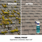 🥳2026 HOT SALE🥳💞50K+ SOLD!🧴🌿 50% OFF! Multi‑Surface Moss Remover – Spray & walk away. Fast action, plant‑safe formula. Works on asphalt, tile & metal. Save your back, save your roof. No more green slime! ✅💚