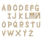 Initial Letter Design Anklet Set for Women