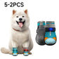⏳ Limited-Time 50% OFF 🐶 Breathable Mesh Dog Shoes with Luminous Design – Lightweight & Comfortable Paw Protection ✨