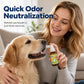 🐶🐱 HOT SALE 🔥 50% OFF – Pet Breath Freshener Spray for Dogs & Cats 🌿✨ | Fresh Breath & Easy Daily Oral Care