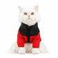 Warm Winter Dog Coat Color Block Padded Pet for Small Medium and Large Dogs and Cats